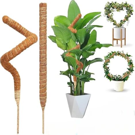 Tuteur Coco Pliable 120 cm – Support Plantes Grimpantes