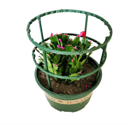 Tuteur de Jardin [Nom de Marque] Model PP Vert – Support Climatique pour Cucurbitacées et Floraisons Potagères, Dimension 25cm x 14.5cm (1 Pièce)