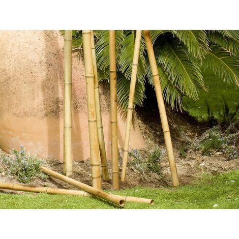 Treillis d'obélisque de jardin en métal-120 cm-En fer forgé-Pour plantes  grimpantes en pot[~157] - Cdiscount Jardin