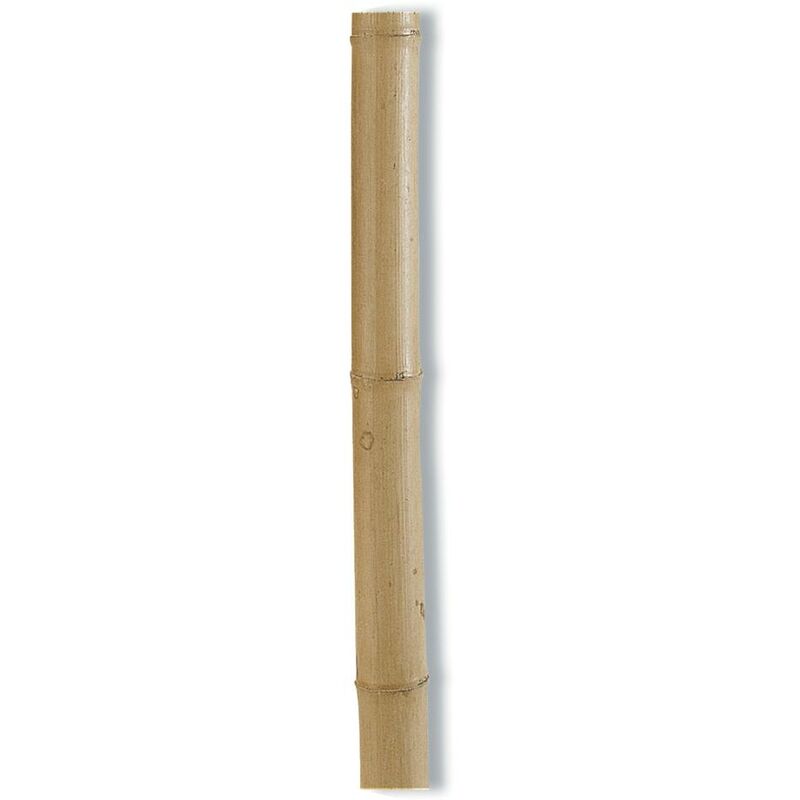 Nortene - Tuteurs bambou décoratifs - Naturel - diam 80/90 x 2,4m