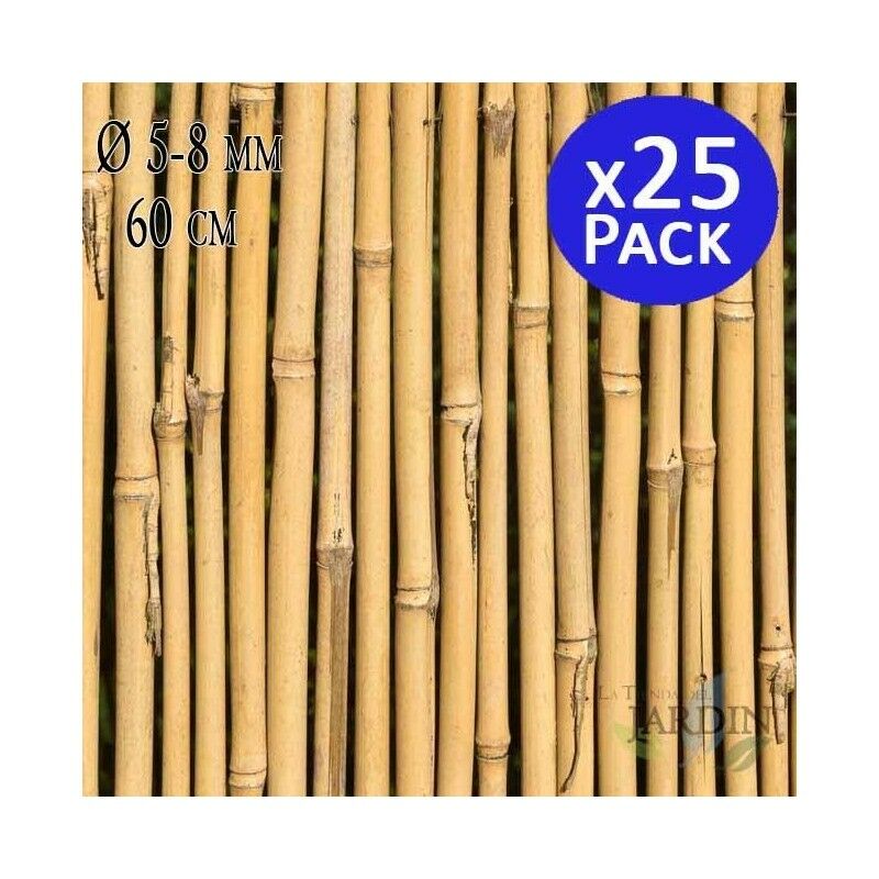 25 x Tuteur en Bambou 60 cm, 5-8 mm. Baguettes de bambou, canne de bambou écologique pour soutenir les arbres