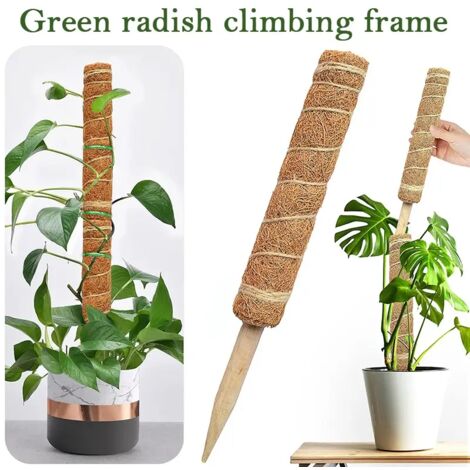 Tuteur en fibre de coco (30 cm) pour plantes grimpantes, idéal pour le jardinage et le soutien des plantes grimpantes, vignes et lianes.