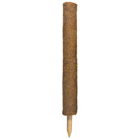 Tuteur en fibre de coco 60 cm – Piquet en acacia – Support naturel et esthétique pour plantes – Diamètre 4 cm – Ecobiotex