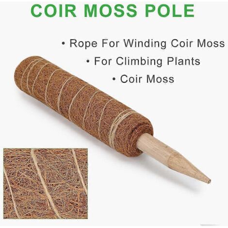 Tuteur en fibre de coco de 60 cm (23,6 po) pour plantes grimpantes, vignes et lianes