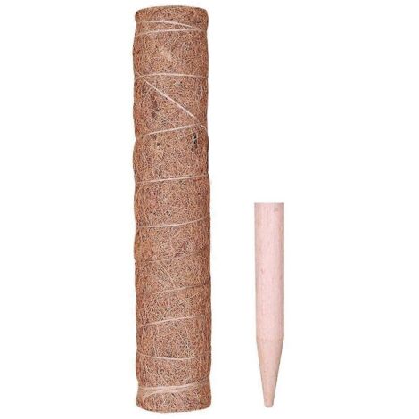 Tuteur en fibre de coco pour plantes grimpantes, support pour plantes d'intérieur