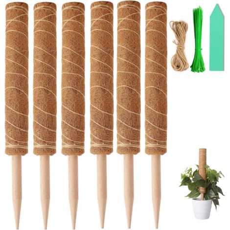Tuteur en Mousse de Coco de 40 cm, Support pour Plantes Grimpantes (Monstera, Pothos), Vrilles avec 100 Attaches Torsadées, Ruban de Ligature de 1 m, 10 Étiquettes Vertes pour Plantes.