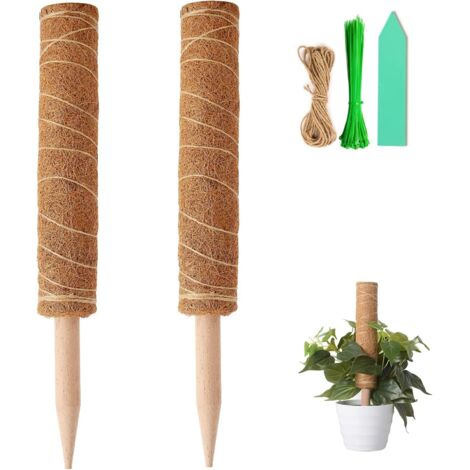 Tuteur en Mousse de Coco de 40 cm, Support pour Plantes Grimpantes (Monstera, Pothos), Vrilles avec 100 Attaches Torsadées, Ruban de Ligature de 1 m, 10 Étiquettes Vertes pour Plantes.