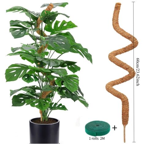 Tuteur flexible en mousse, support pour plantes grimpantes, tuteur pour palmiers monstera, accessoires pour plantes en pot et jardins