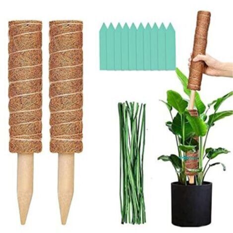 Tuteur Plante Grimpante Intérieur, Tuteur Monstera Coco, Tuteurs pour Plantes 50 Cm, Support pour Plantes Grimpantes D'intérieur Tuteur Plante Mousse A Feuille Lot De 2 Kit