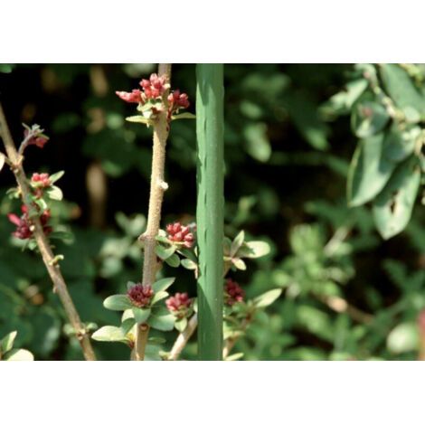 Tuteur plante métal Ø 11mm 90cm vert (Par 10)