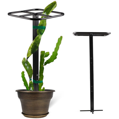 Tuteur pour pitaya, treillis métallique réglable pour plantes, adapté au jardinage vertical et aux plantes grimpantes