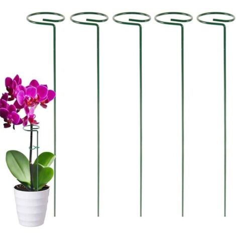 Tuteur pour plantes de jardin, tuteur à tige unique en métal pour fleurs vertes