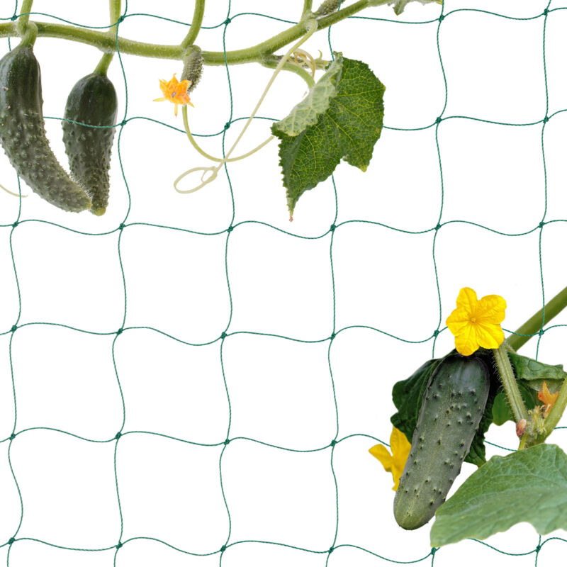 Relaxdays - Tuteur pour plantes, filet pour la serre ou le jardin, pour tomates et concombres, 200 x 750 cm, vert