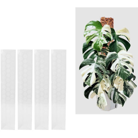 Tuteur pour Plantes Grimpantes Monstera [4PCS - 43cm] Support de croissance en PET renforcé avec système D-Shaped Stackable