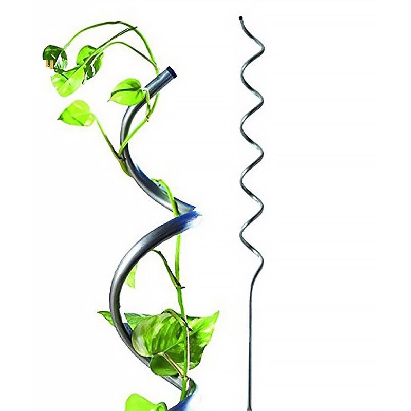 Tuteur spirale pour tomates - En acier - Hauteur : 200 cm Support pour plantes grimpantes et tomates Vert trendyflair