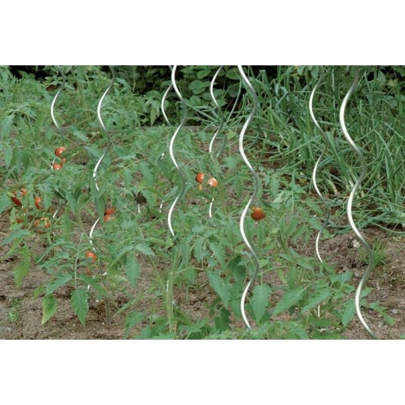 Circumpro - Tuteur tomates 150 cm galvanisé (Par 10)