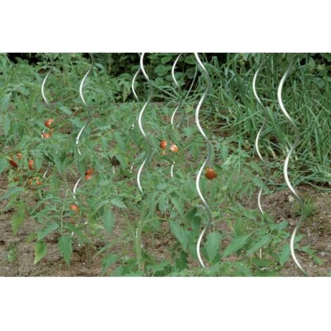 Tuteur tomates 150 cm galvanisé CircumPRO (Par 10)