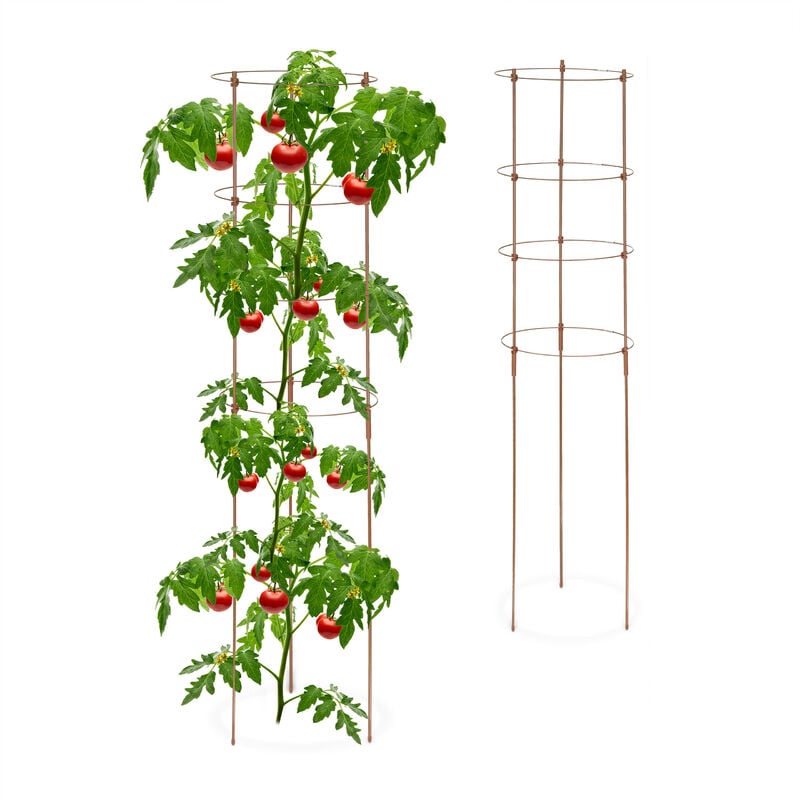 Relaxdays - Tuteur à tomates en lot de 2, métal et plastique, hauteur : 120 cm, 4 anneaux réglables, pour plantes, marron