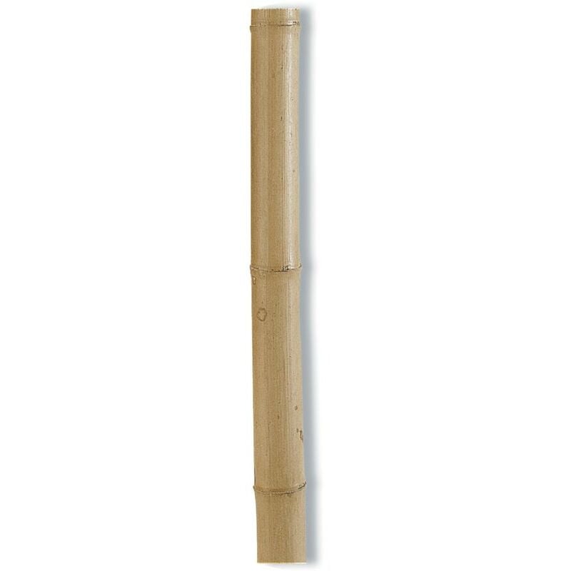 Nortene - Tuteurs bambou décoratifs - Naturel - diam 100/120 x 2,4m