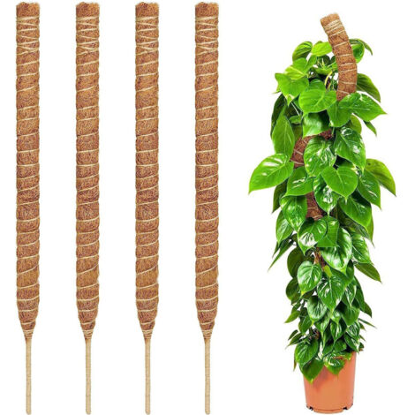 Tuteurs en mousse pour plantes Monstera – Lot de 2 tuteurs flexibles de 71 cm pour plantes Monstera, piquets pour plantes d'intérieur, supports pour plantes grimpantes.