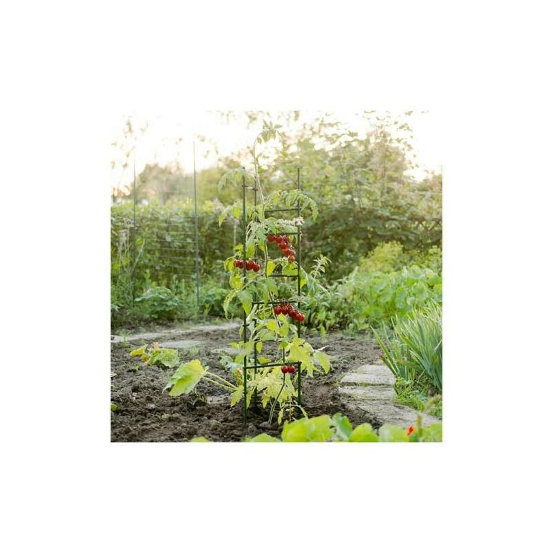 Nature - Tuteur triangulaire à tomates - vert