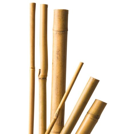 Tuteurs x 5 bambou naturel - 120 cm / Ø10-12 mm - CIS