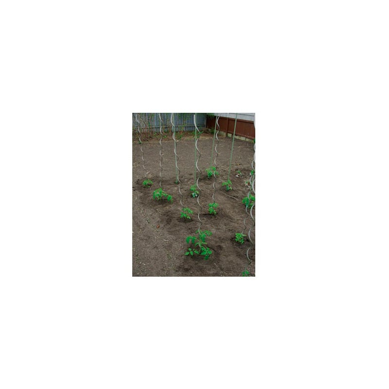

Tutor Acero Espiral Tomatero 7mm Largo 1,80m TTE