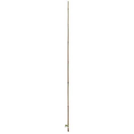 TUTOR BAMBOO NORTENE 1.2 M