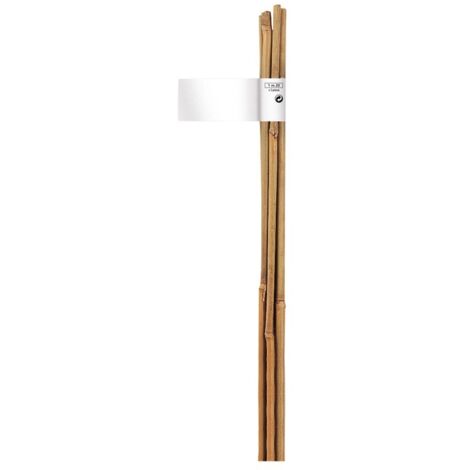 TUTOR BAMBOO NORTENE 150 CM