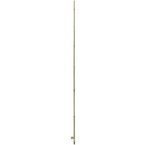 TUTOR BAMBOO NORTENE 1.5M
