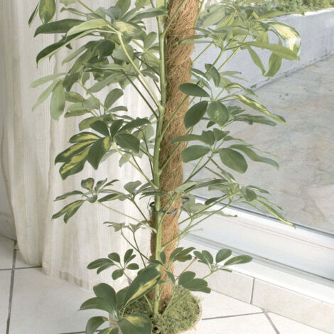 CELLOPLAST Tutor de coco natural Ø 45 mm Nortene 120 cm