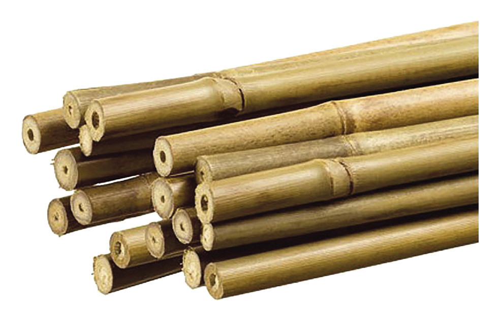 

Tutor De Bamboo Para Plantas 1,1X180Cm 10 Und - NEOFERR..