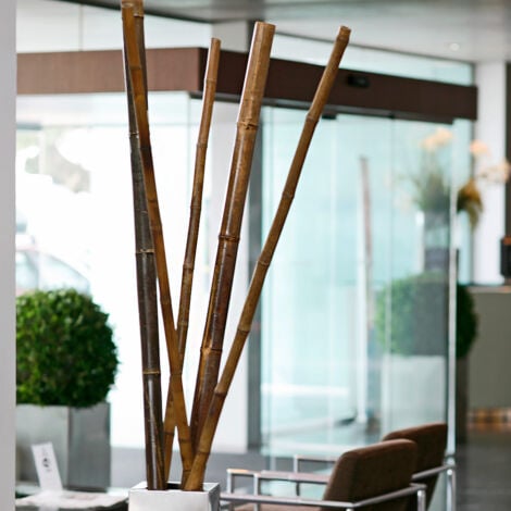 Tutor Decorativo Diam. 80/90 X 240 Cm.