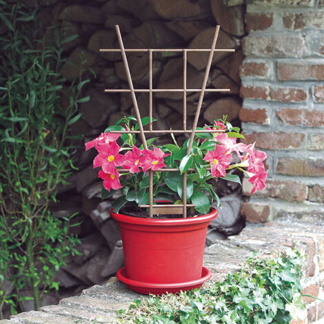 TUTOR ESPALDERA ECHELLE 50 CM MARRON NORTENE