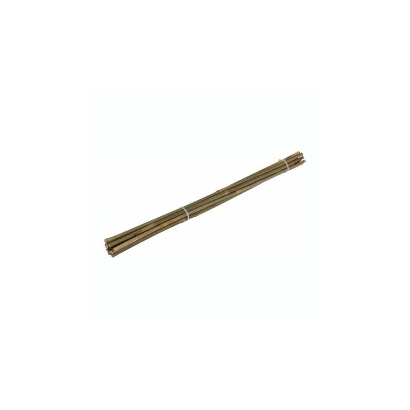 

Tutores bambu 90cm 10 p lote 10