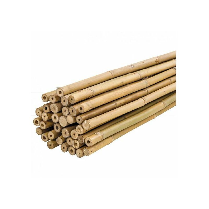 

Plantawa Tutores de Bambú 60 cm Pack 50 Uds Tutores para Plantas Huerto Urbano