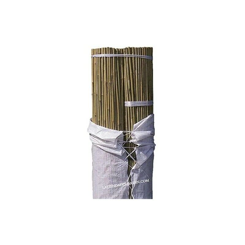 Suinga - Lot 100 x Tuteurs en Bambou 210 cm, 16-18 mm. Tiges de bambou, canne de bambou écologique pour maintenir les arbres, les plantes