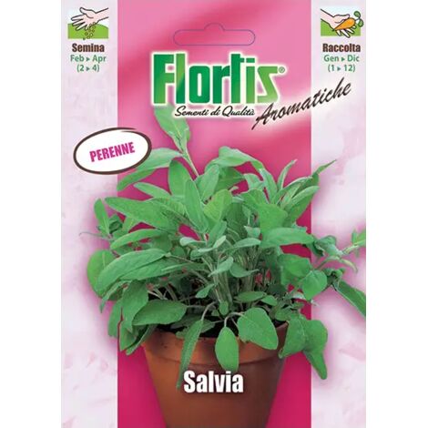 TUTTOGIARDINO SALVIA
