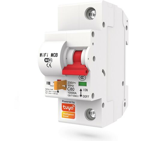 Tuya Interruttore Modulare Smart WiFi 25A 1 Pulsante