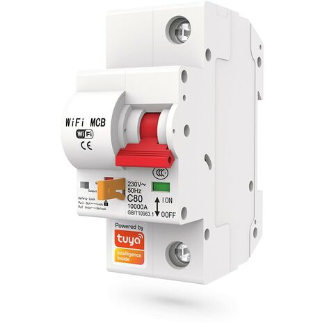 Tuya Interruttore Modulare Smart WiFi 40A  1 Pulsante