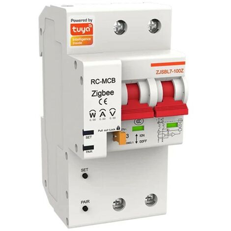 Tuya Interruttore Modulare Smart ZigBee 40A  2 Pulsanti