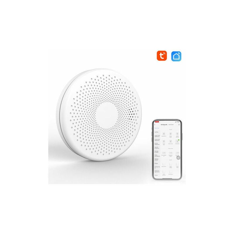 Neige - Tuya WiFi 2 in 1 Smokes Carbon Smokes co co detectors sound detectors flash Light Alarm Function: Model: white