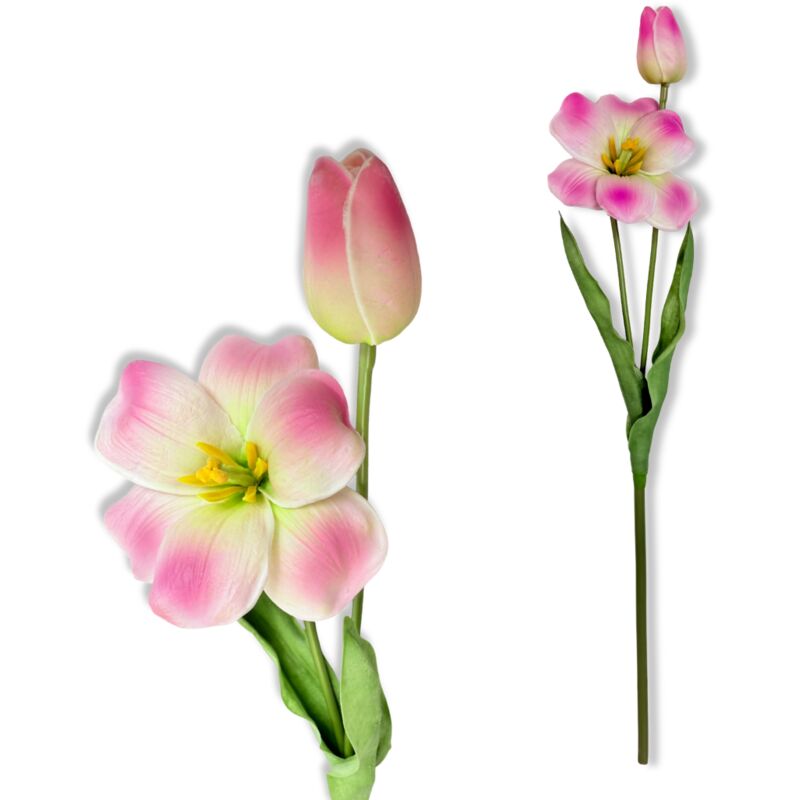 Twig - Tulipe mousse rose, ombragée, 53 cm