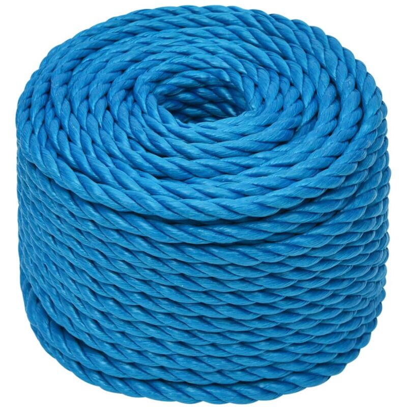 Work Rope Blue 24 mm 50 m Polypropylene vidaXL - blue