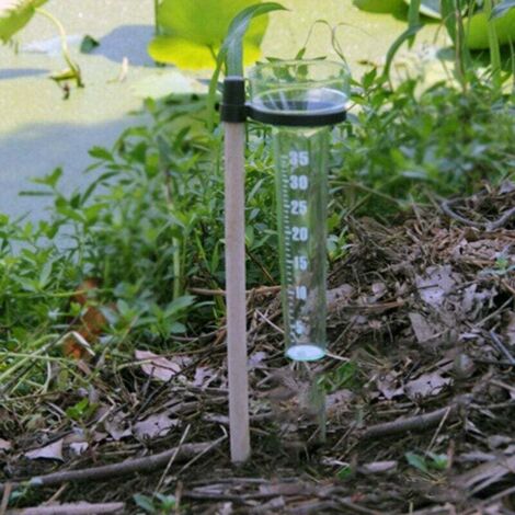 Pluviomètre Décoratif Oiseau Bleu En Fer - 137 Cm De Haut, Avec Verre Gradué