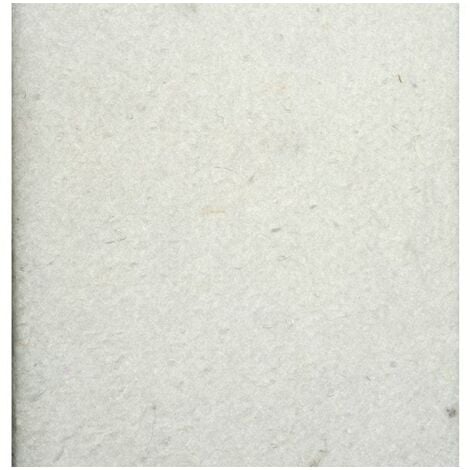 Ubbink Feutre géotextile de protection blanc 5 x 2 m 200 g/m² 1331960