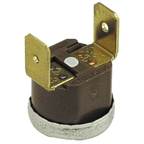 Überheizungthermostat 100°C