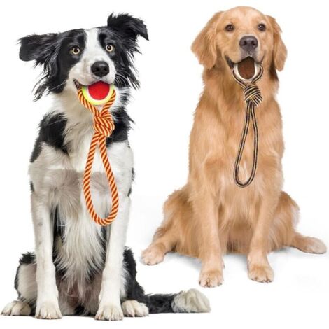 Ulisem Jouet à corde pour chien en coton 100%, favorable à la santé mentale, dentaire et au nettoyage des dents des chiens. Longueur : 28 cm.