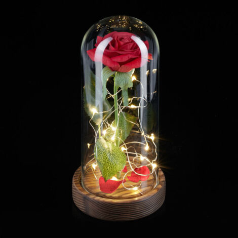 UlisemRose éternelle avec guirlande lumineuse, cadeau pour femme, dôme en verre, base en bois, La Belle et la Bête, rose artificielle, rouge