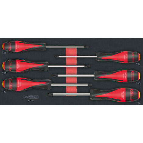 ULTIMATE TORXÂ® Schraubendreher-Modul mit Durchbruch, 6 StÃ¼ck